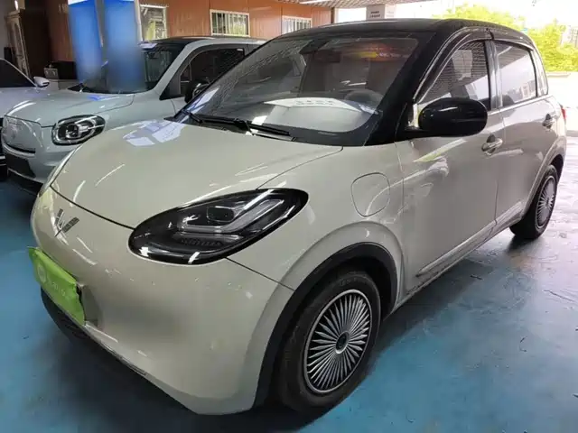 2024 Wuling Motors Binguo