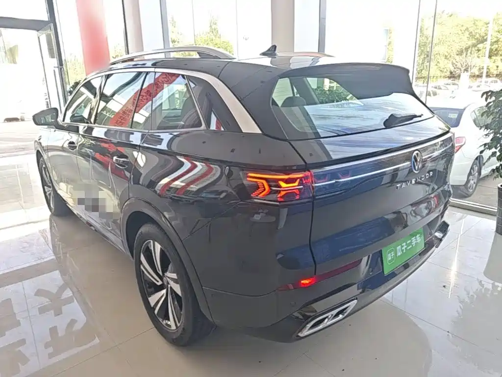 Volkswagen Tavendor — миниатюра 5