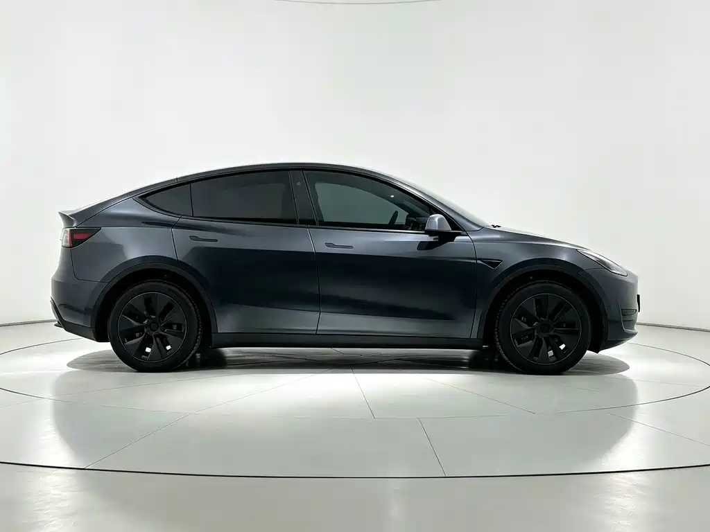 Tesla Model Y — миниатюра 8