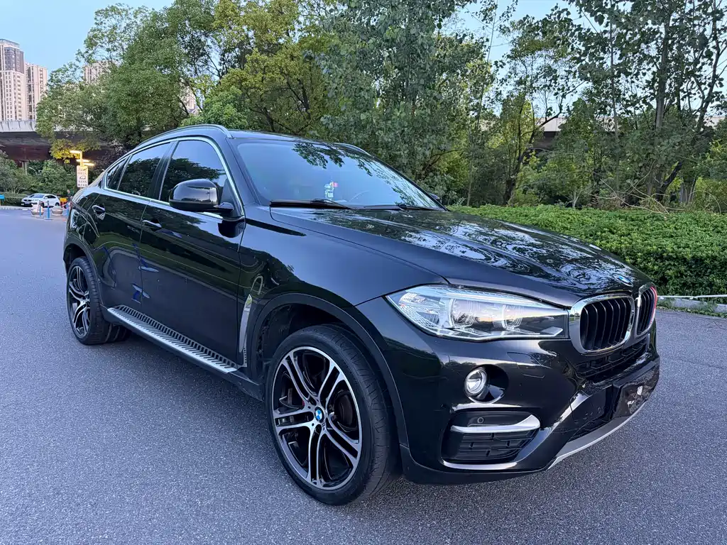 BMW X6 — миниатюра 3