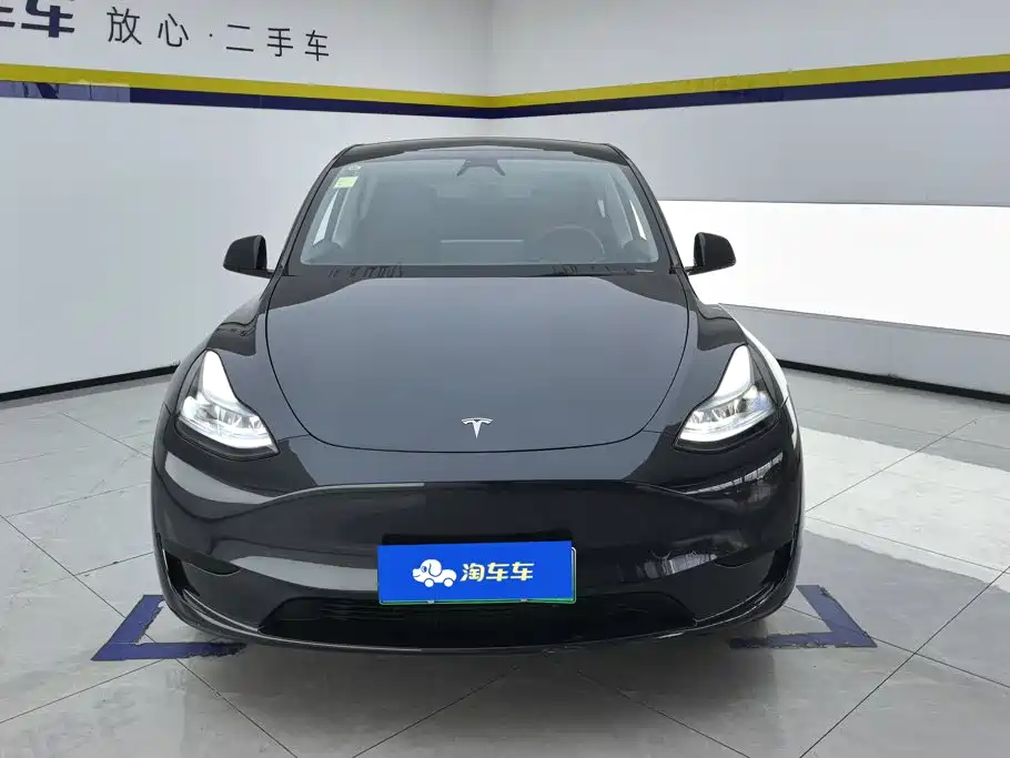 Tesla Model Y — миниатюра 2