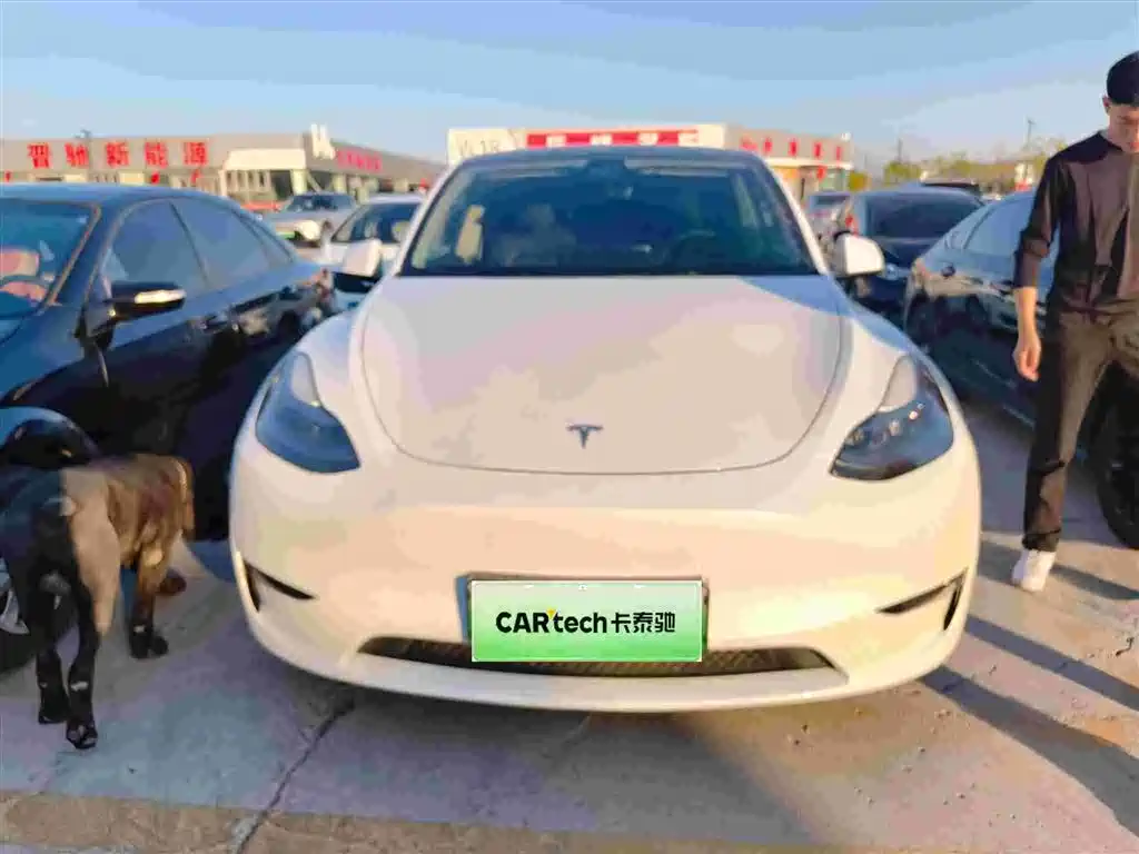 Tesla Model Y — миниатюра 4