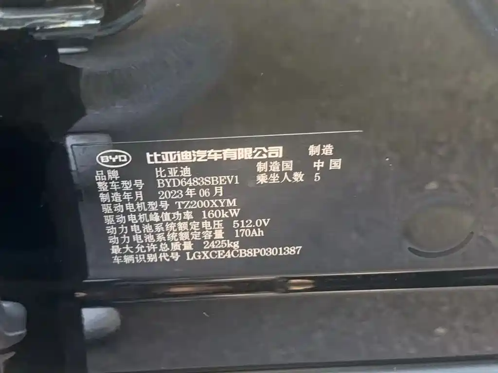 BYD PLUS New Energy — миниатюра 6