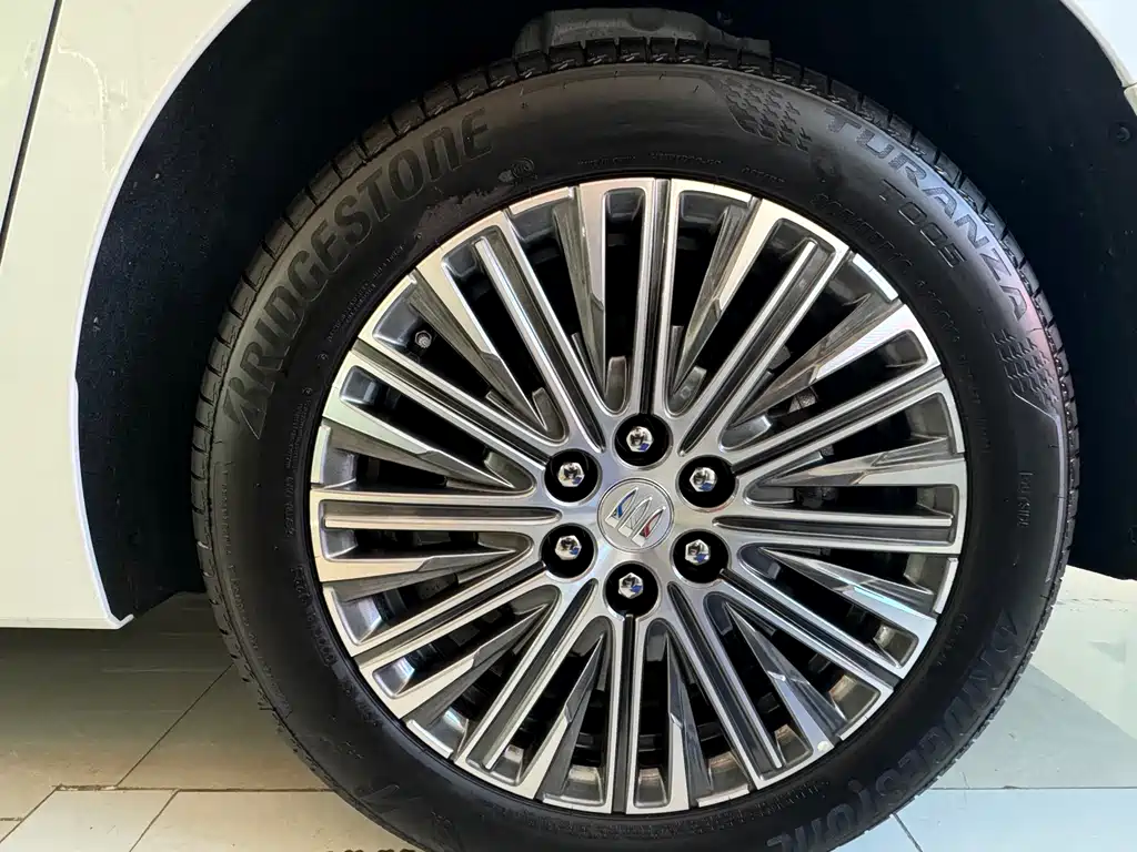 BUICK GL8 NEW ENERGY