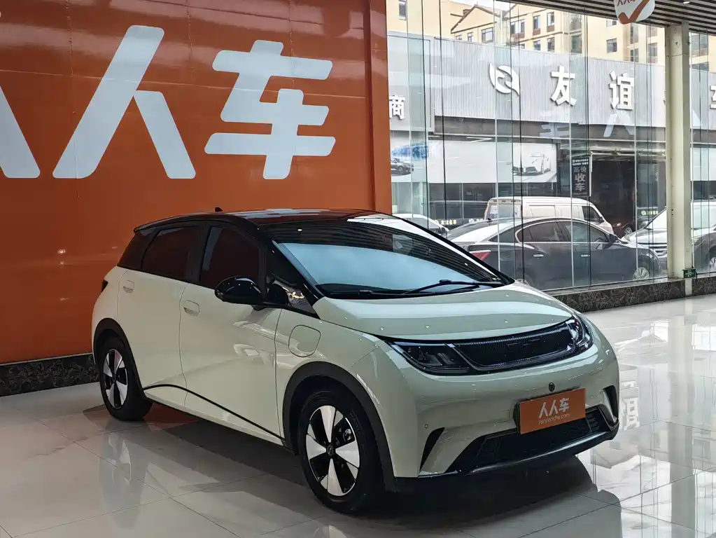 BYD Dolphin — миниатюра 3