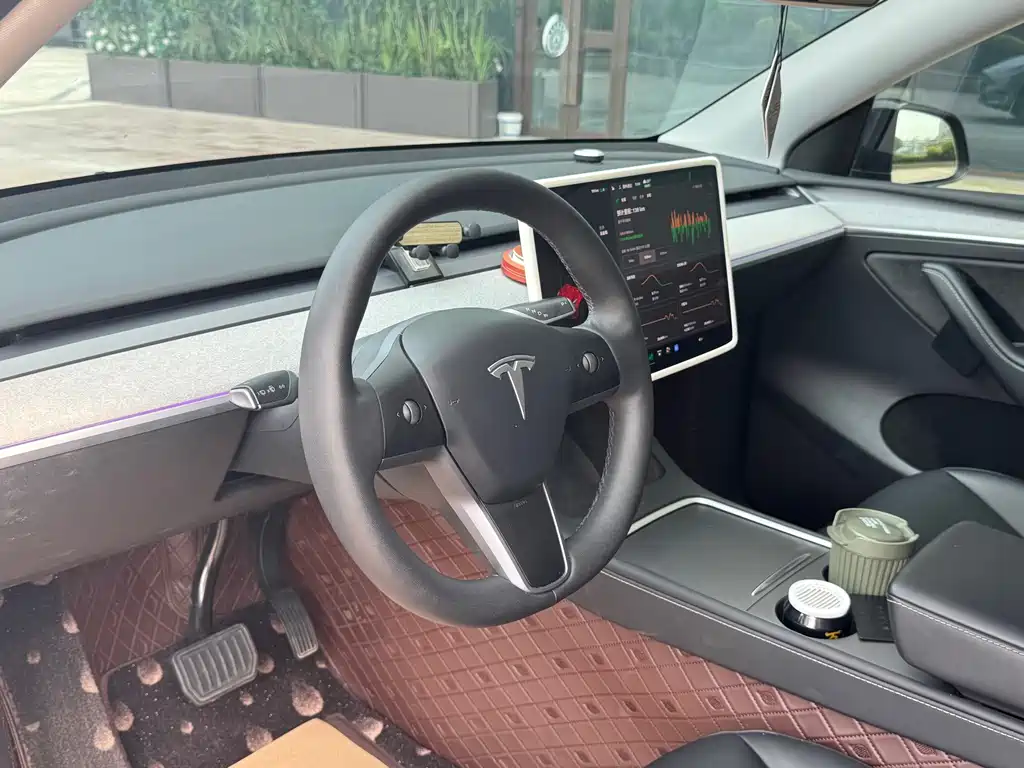 Tesla Model Y — миниатюра 5