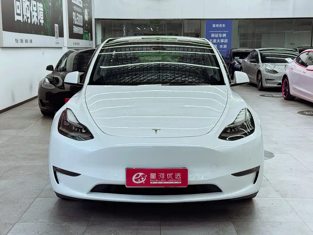 Tesla Model Y — миниатюра 2