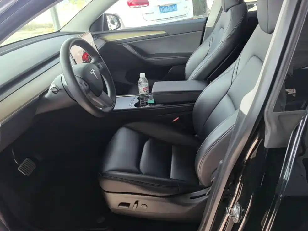 Tesla Model Y — миниатюра 15
