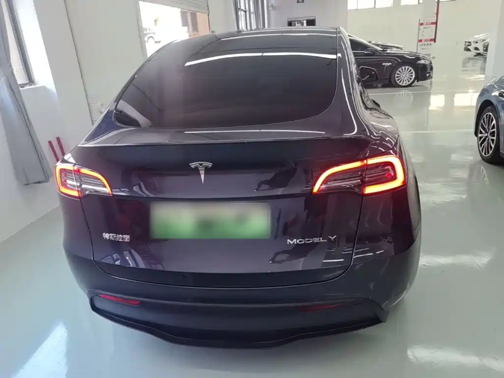 Tesla Model Y — миниатюра 6