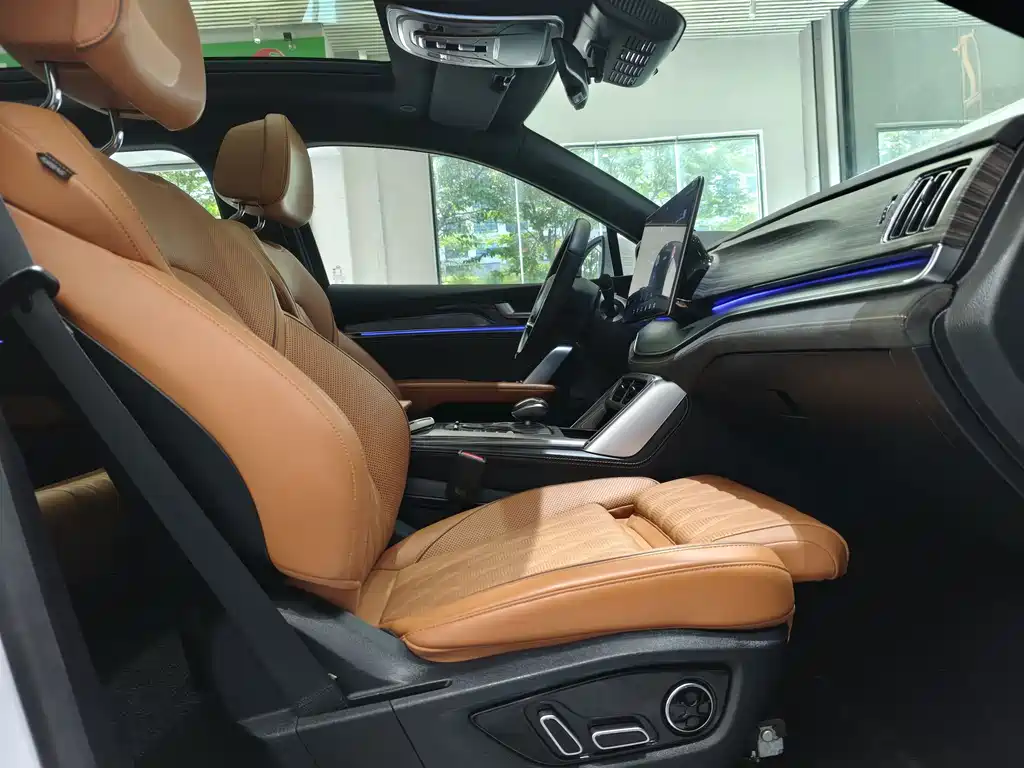 BYD Tang New Energy — миниатюра 26