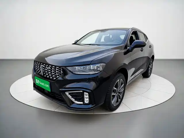 2021 Wey VV5
