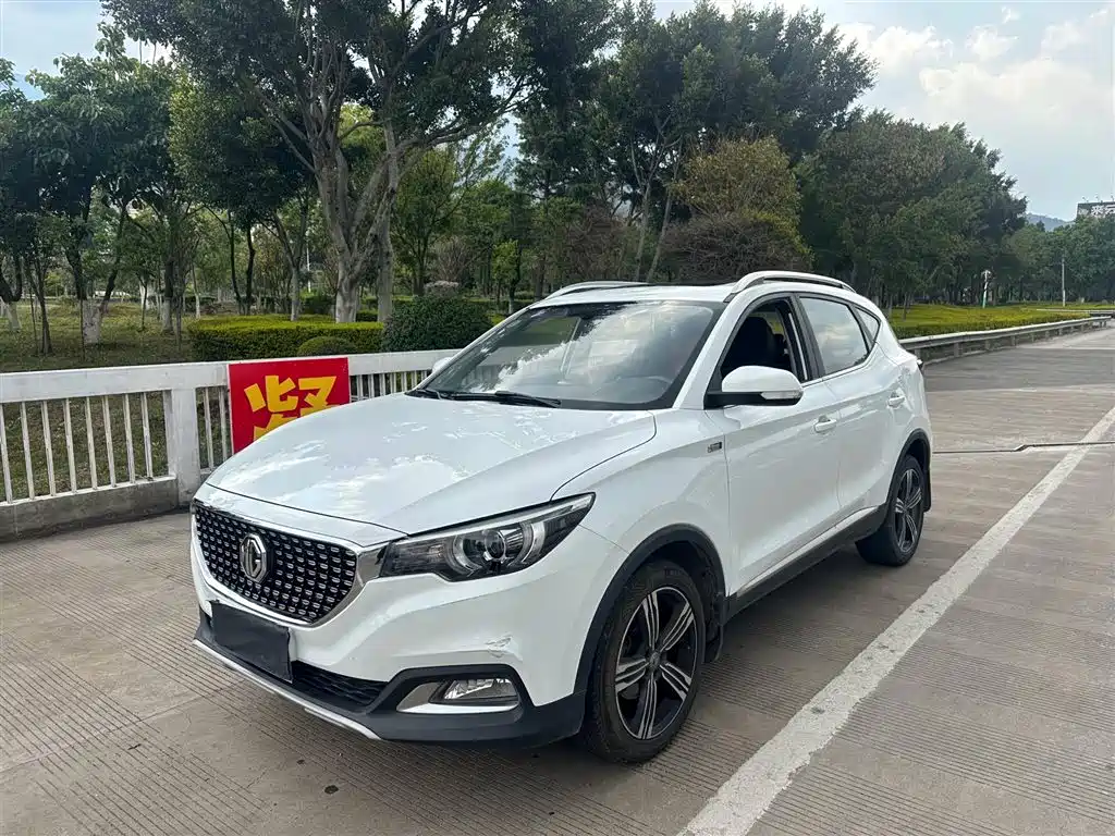 Mg ZS 2019