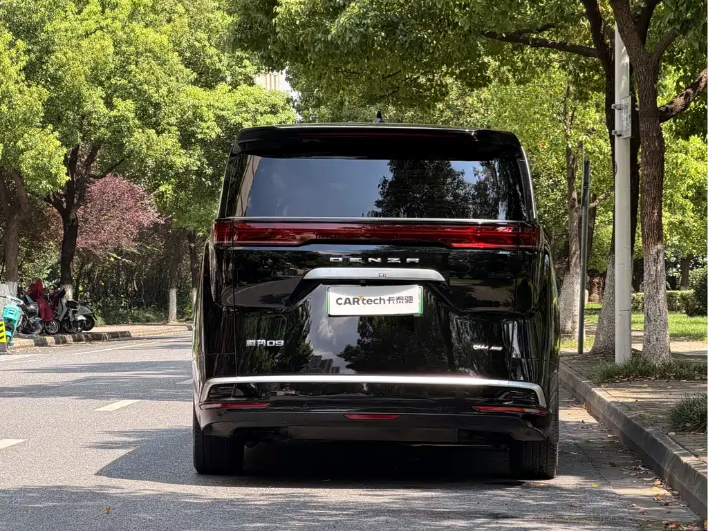 Denza Denza D9 — миниатюра 4