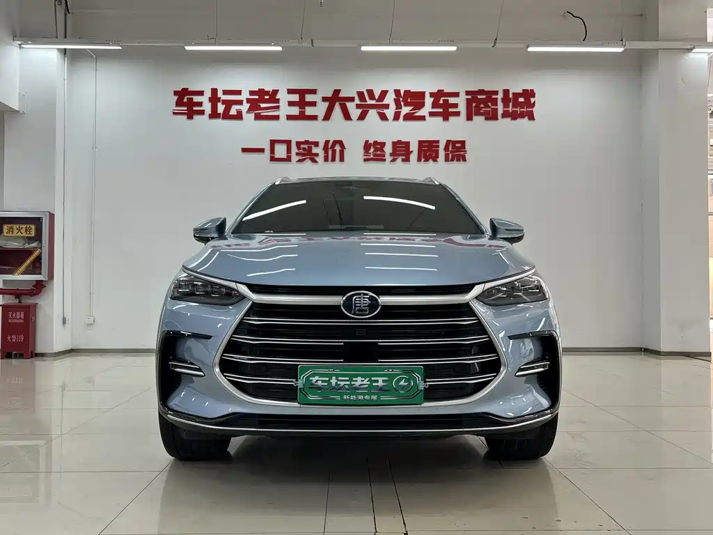 BYD Tang New Energy — миниатюра 3