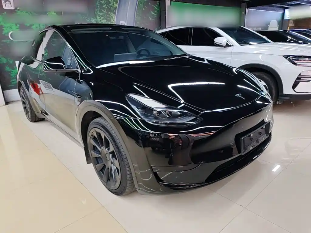 Tesla Model Y — миниатюра 4