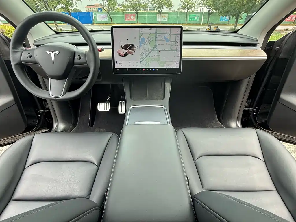 Tesla Model Y — миниатюра 22