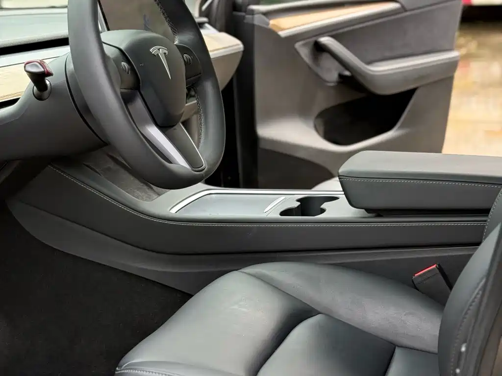 Tesla Model Y — миниатюра 11