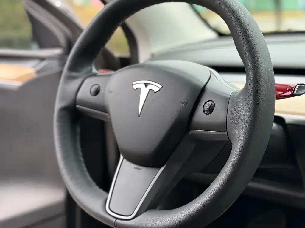 Tesla Model Y — миниатюра 21