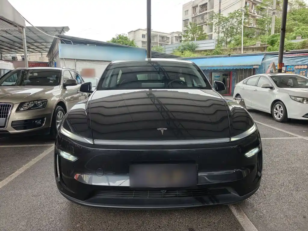 Tesla Model Y — миниатюра 3