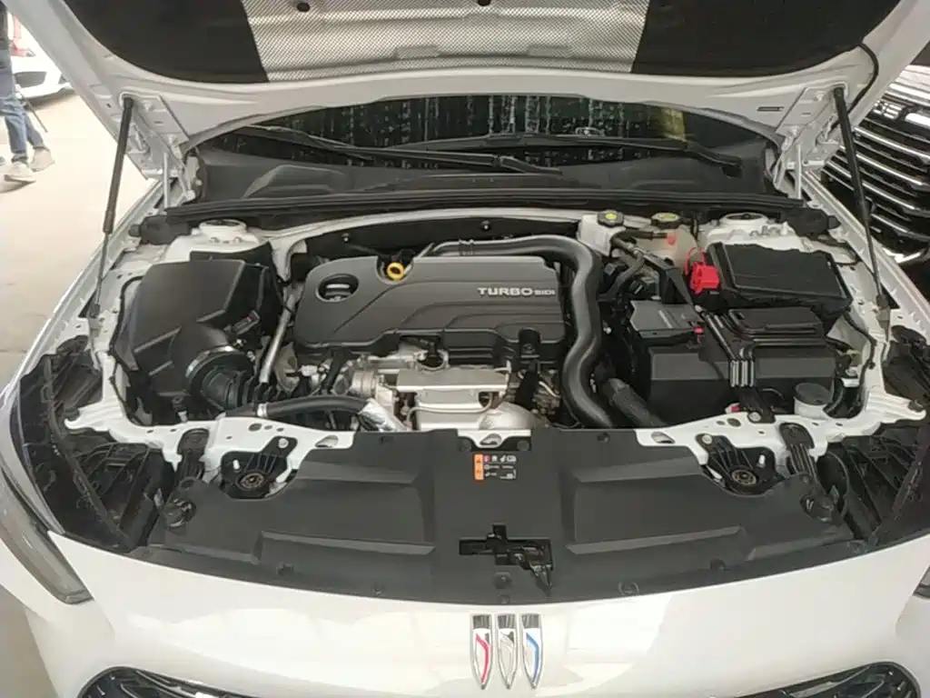 Buick Regal — миниатюра 20