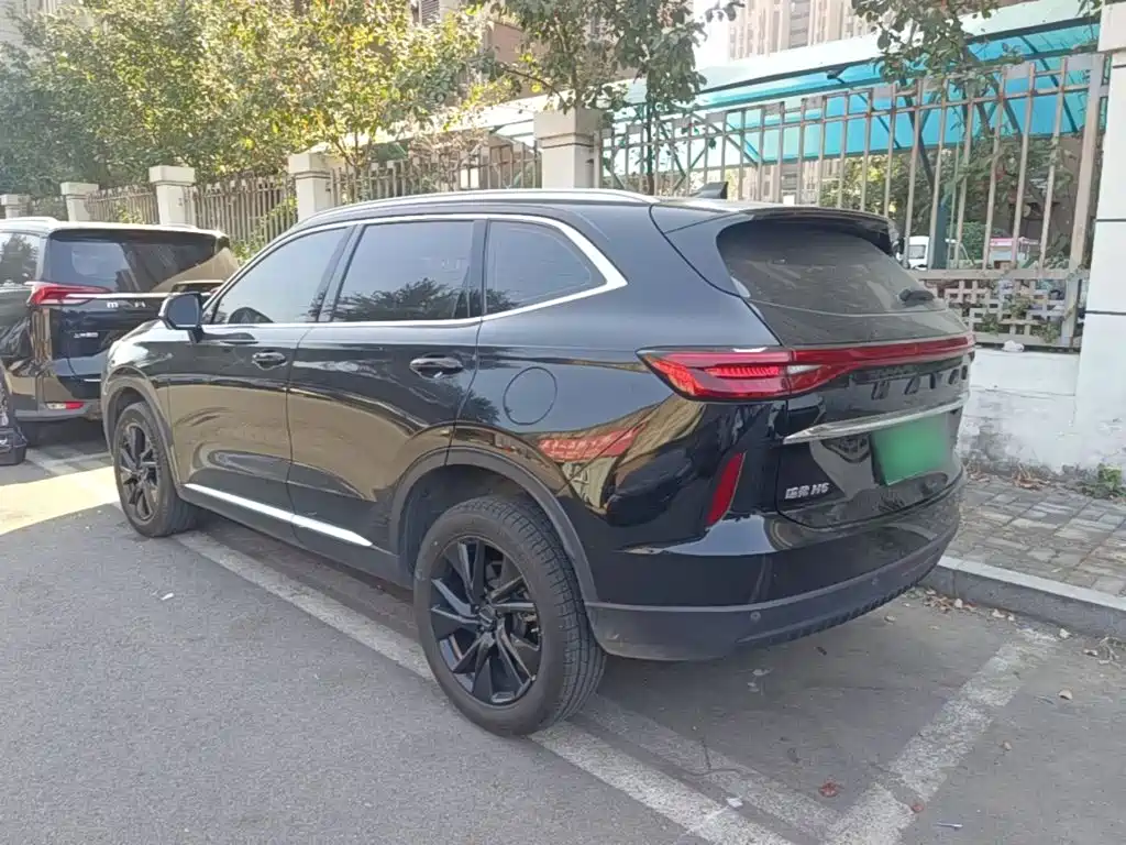 Haval H6 — миниатюра 5