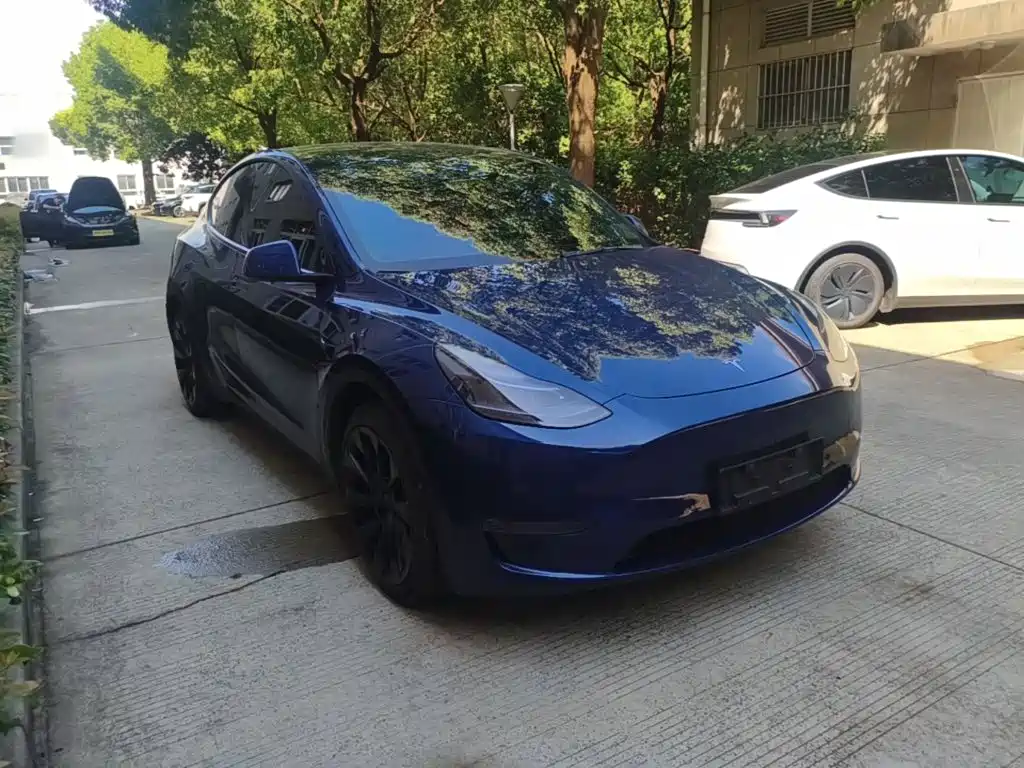 Tesla Model Y — миниатюра 4