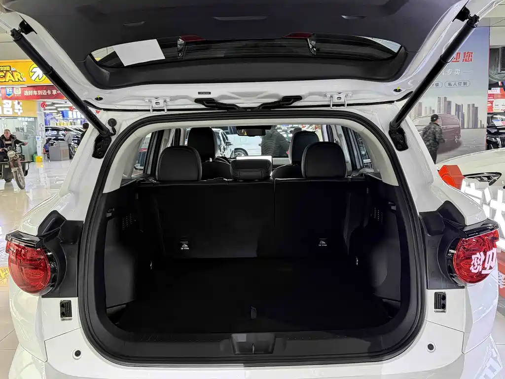 HAVAL SECOND GENERATION BIG DOG NEW ENERGY