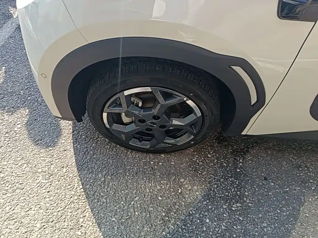 BYD Seagull — миниатюра 23