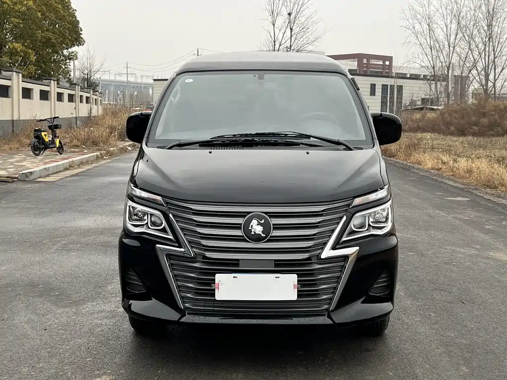 DONGFENG LINGZHI