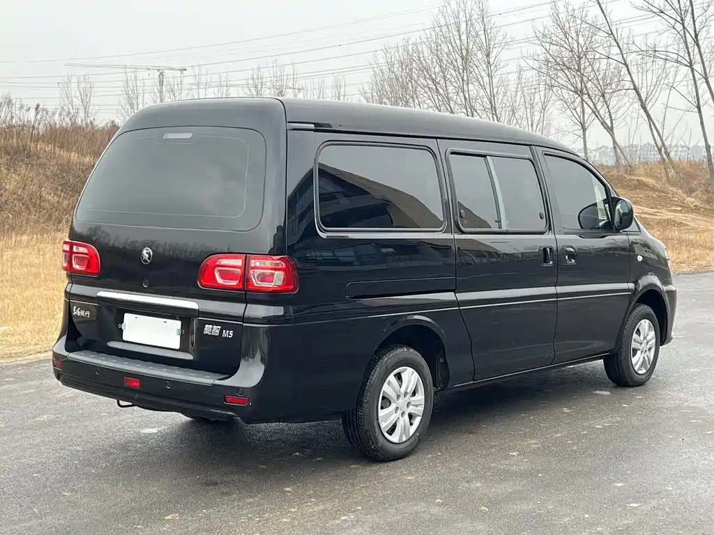 DONGFENG LINGZHI
