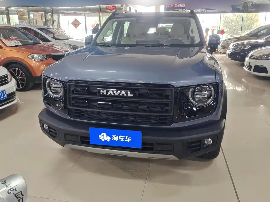 Haval Big Dog — миниатюра 2