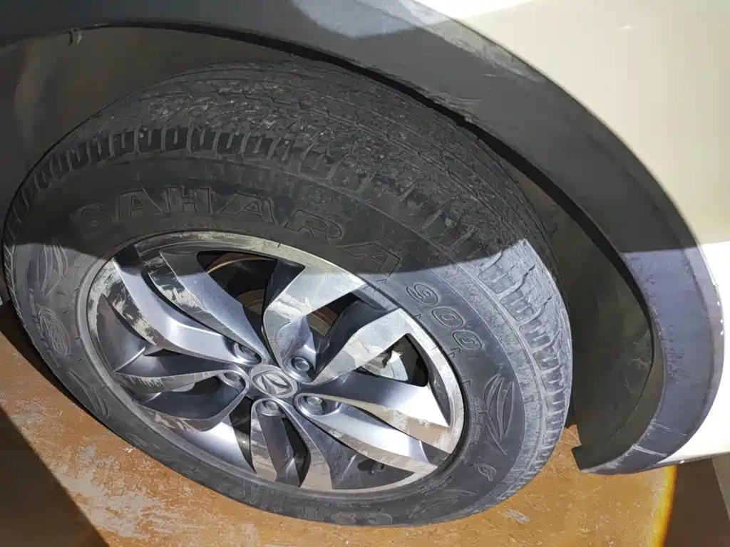 BAW Weiwang S50 — миниатюра 8