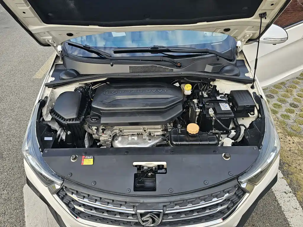BAOJUN 310W