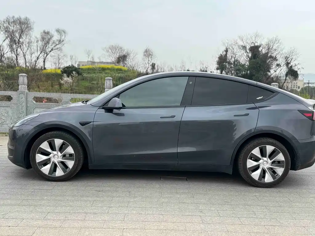 Tesla Model Y 2021 3D7