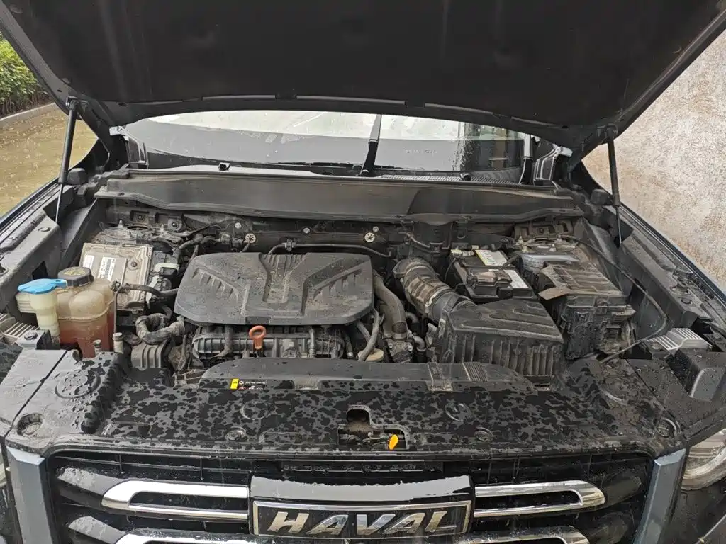 Haval Big Dog — миниатюра 11
