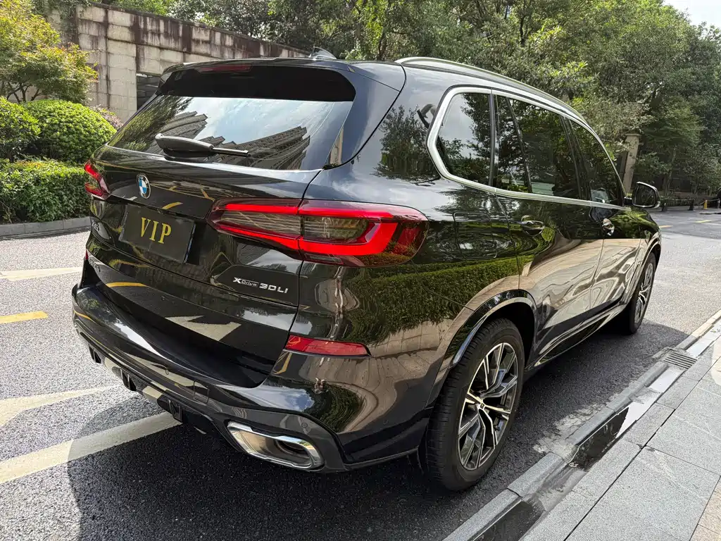BMW X5 — миниатюра 10