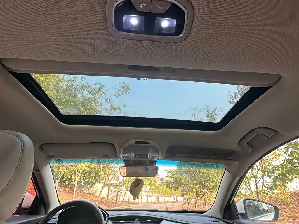 GEELY AUTOMOBILE BINRUI