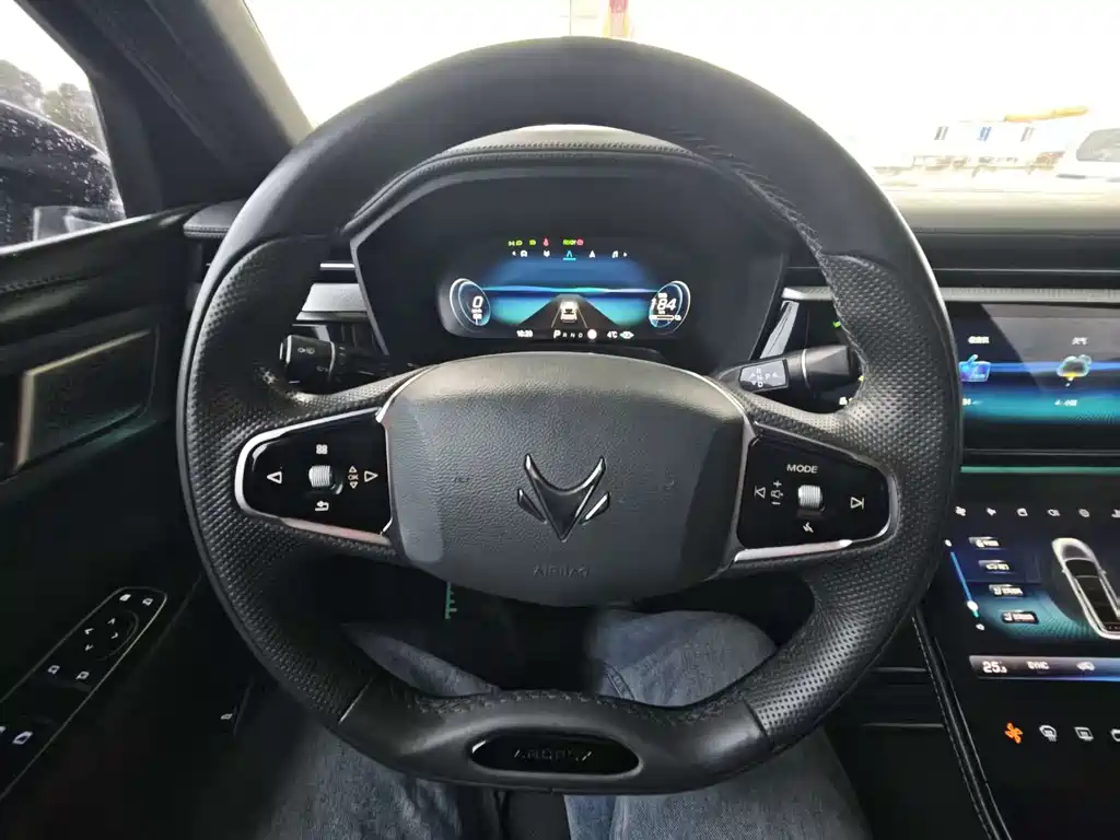 ARCFOX EXTREME FOX POLAR FOX ALPHA T