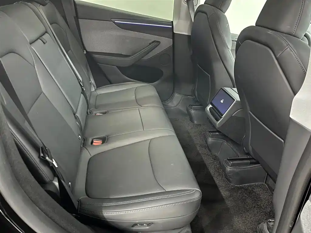 Tesla Model Y — миниатюра 8