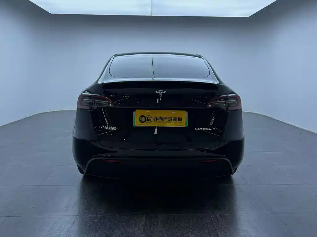 Tesla Model Y — миниатюра 8