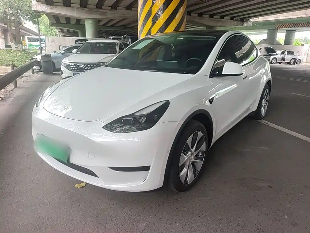 Tesla Model Y — миниатюра 2