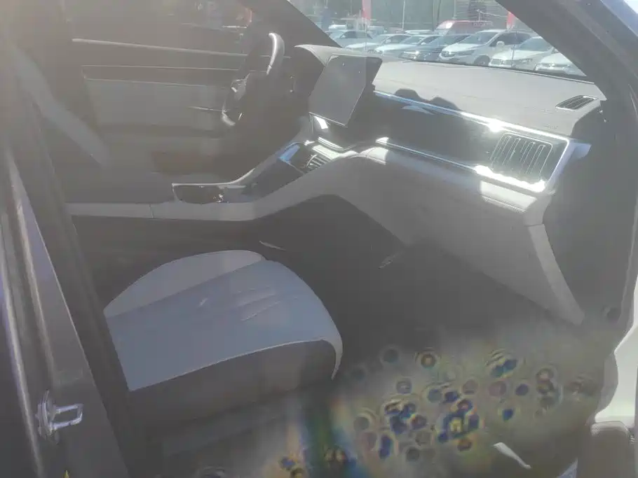 BYD PLUS New Energy — миниатюра 8