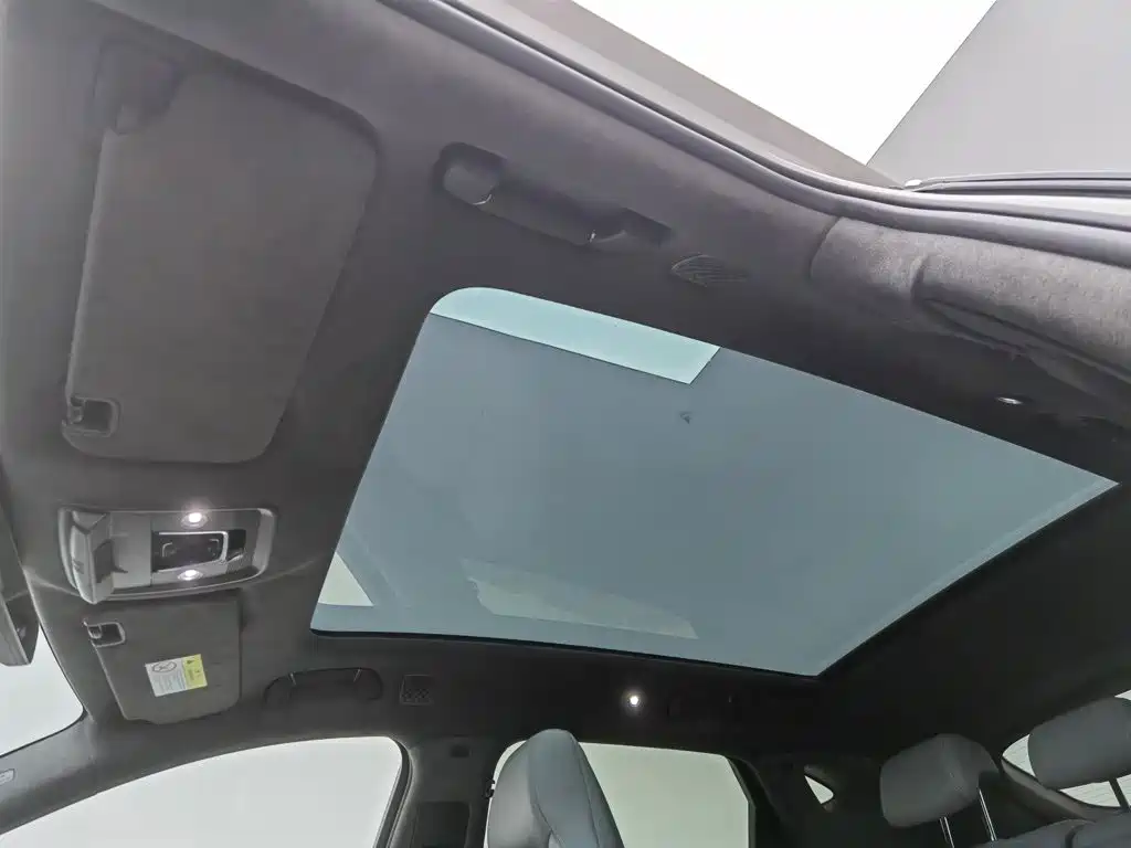 Denza Denza N7 — миниатюра 14