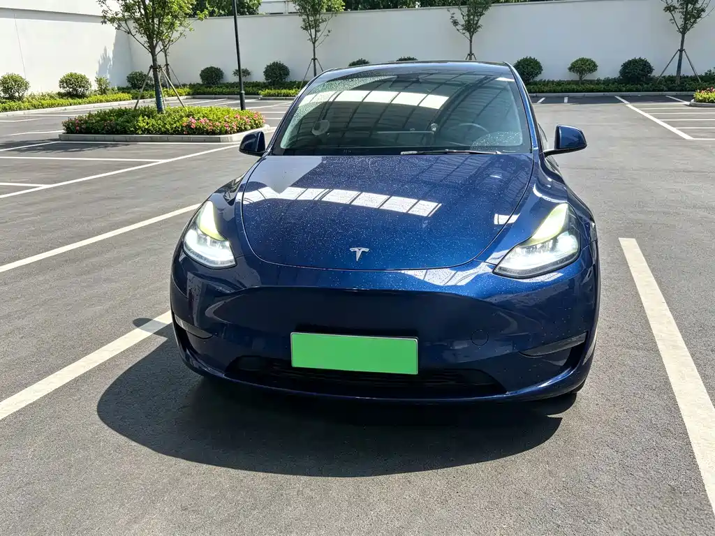 Tesla Model Y — миниатюра 2