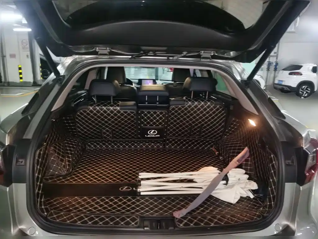 Lexus RX — миниатюра 20