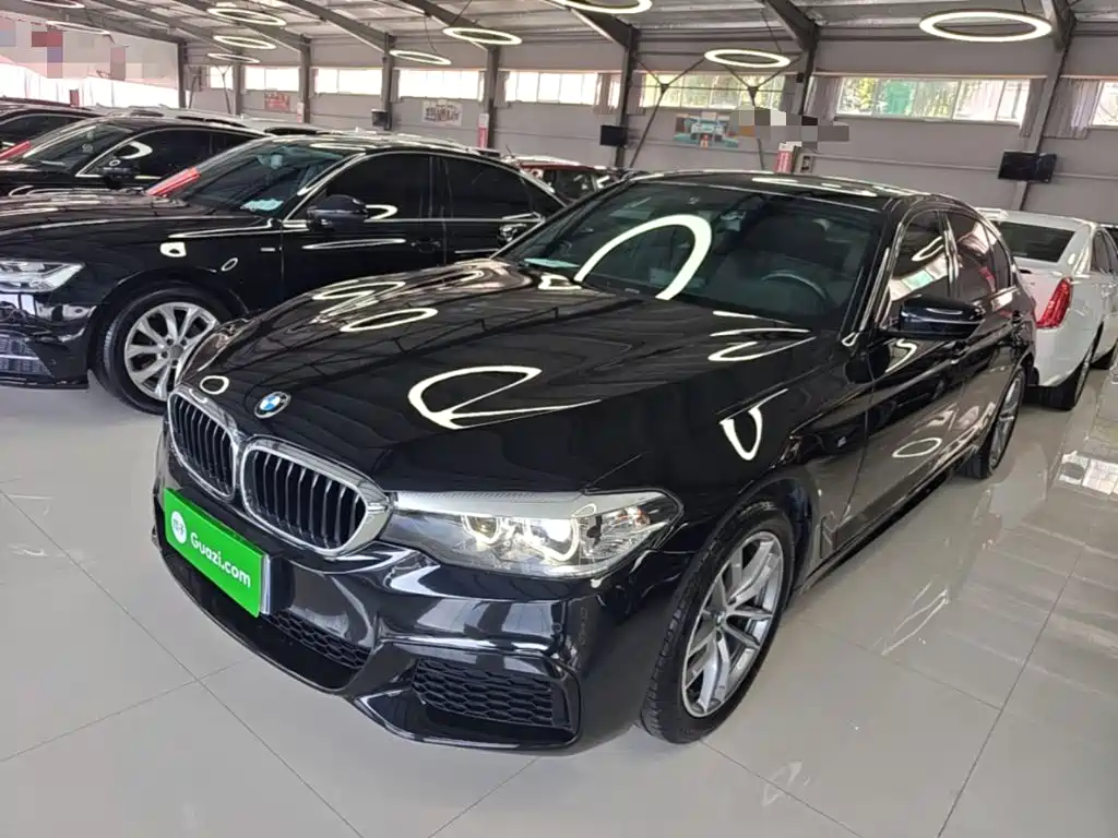 BMW 5 Series — миниатюра 2