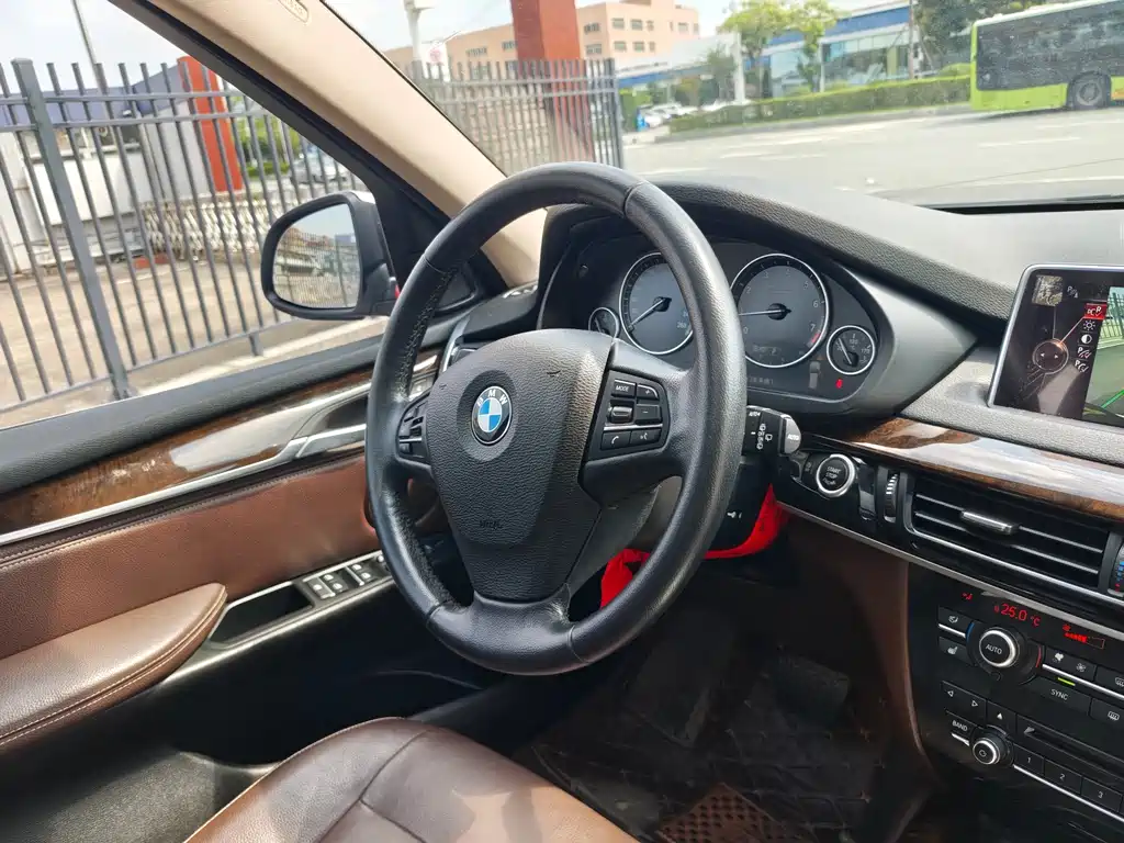 BMW X5 (Import) — миниатюра 10