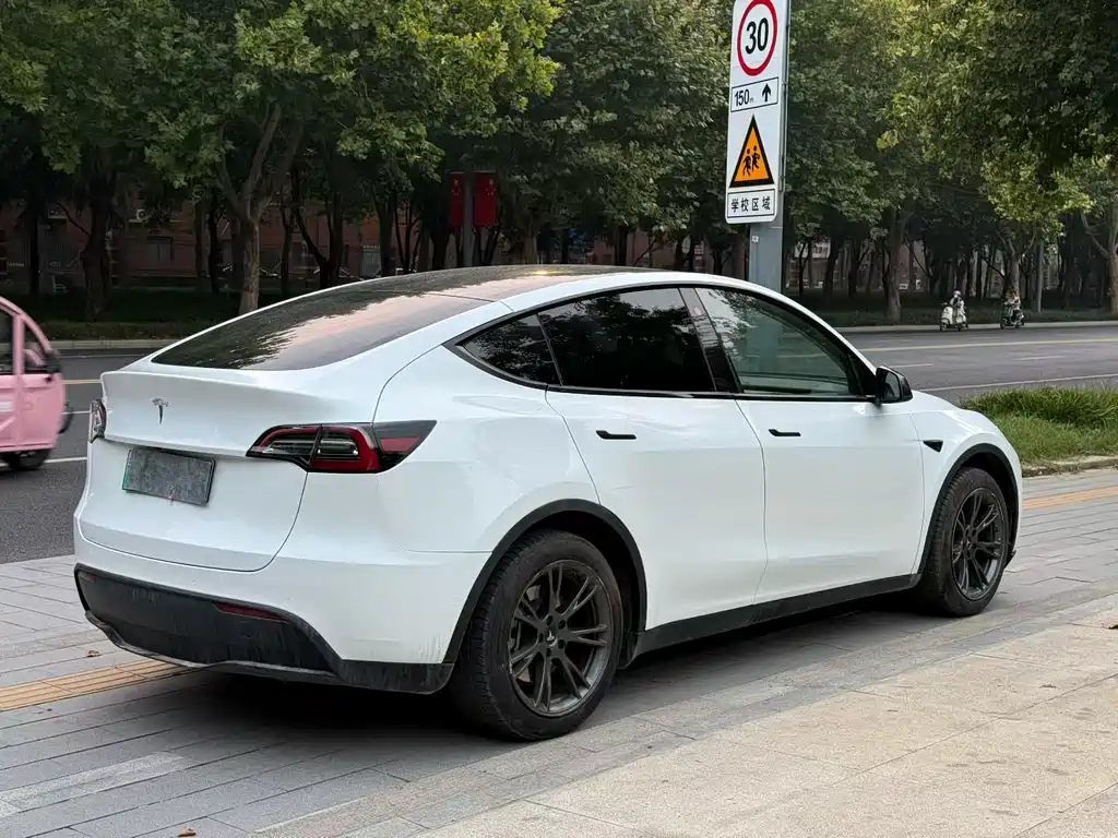 Tesla Model Y — миниатюра 9