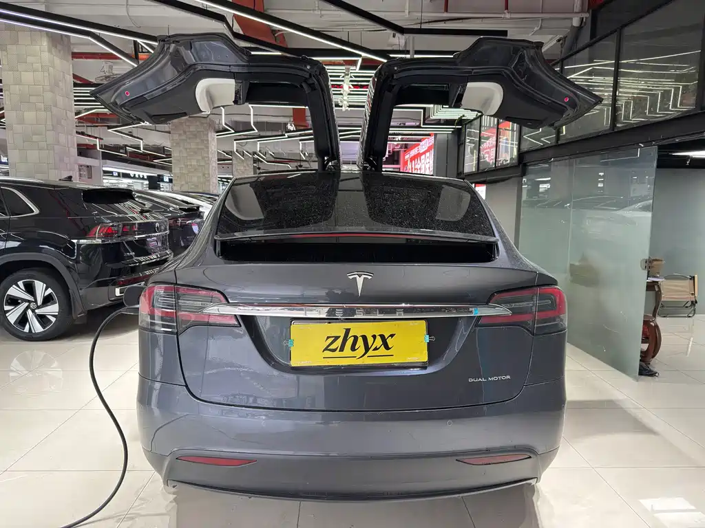 Tesla Model X — миниатюра 5