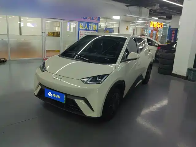 2024 BYD Seagull